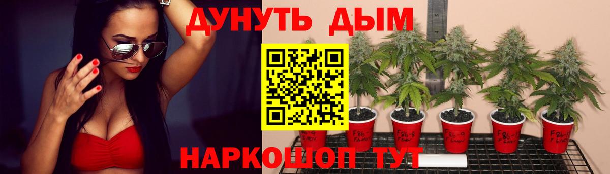 Шишки марихуана семена  Конопля ГИДРОПОН  Конопля гибрид  Марихуана марихуана  Вход с VPN  Гуково 